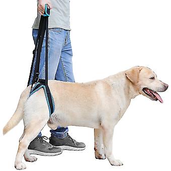 Dog Lift Harness Portable Lifting Support Harness For Back Legs Elderly Injured Sick And Disabled Dogs