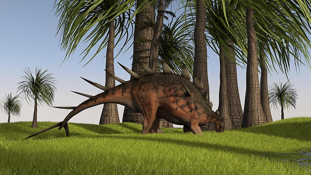 Kentrosaurus grazing in a grassy field. Poster