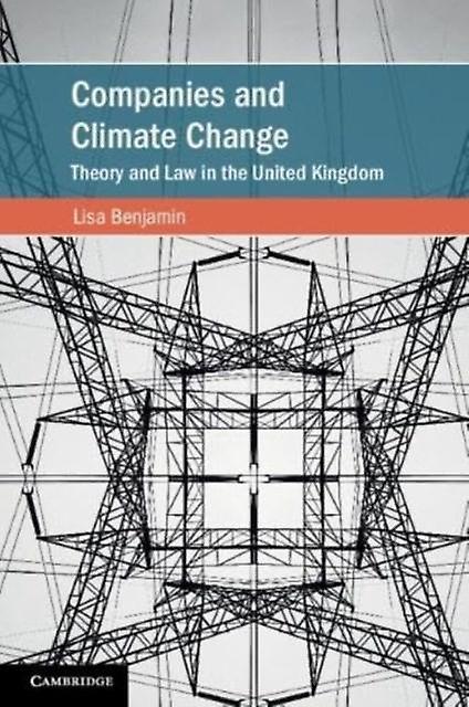 Companies And Climate Change by Lisa Benjamin Paperback
