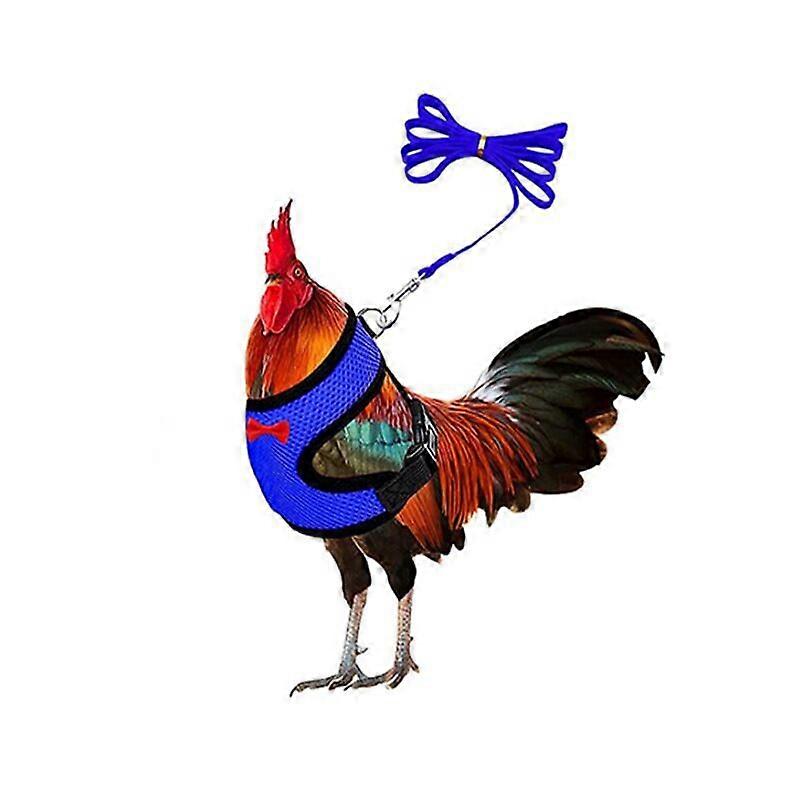 Chicken Harness And Leash, Modified Adjustable Breathable Harness Specially Designed For Chicken Duck Goose Training