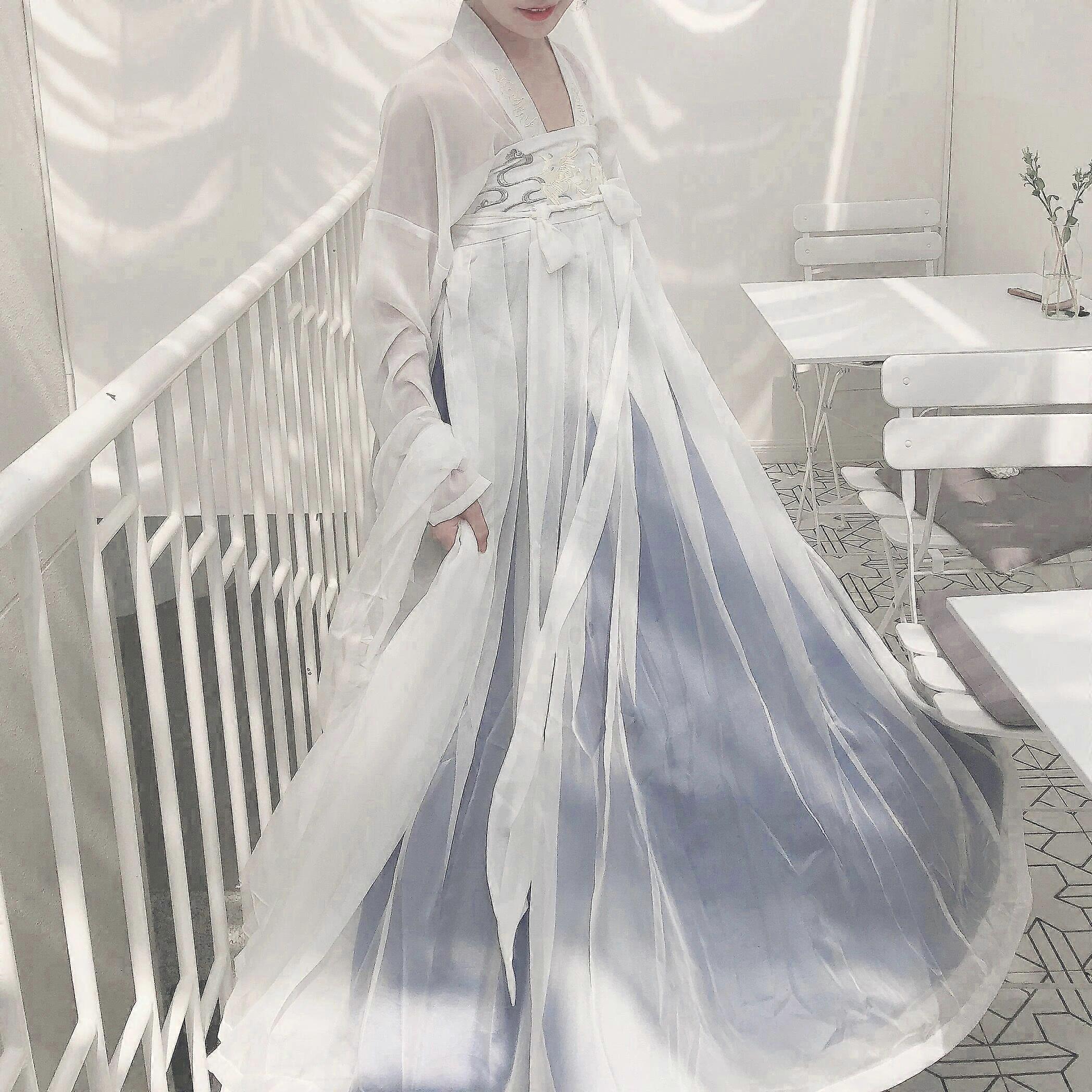 Ancien Style Traditionnel Chinois Femmes Élégant Hanfu Robe Dynastie Ming Douce Fée Broderie Robe Scène Folk Danse Costumes geschenke fourrure frauen