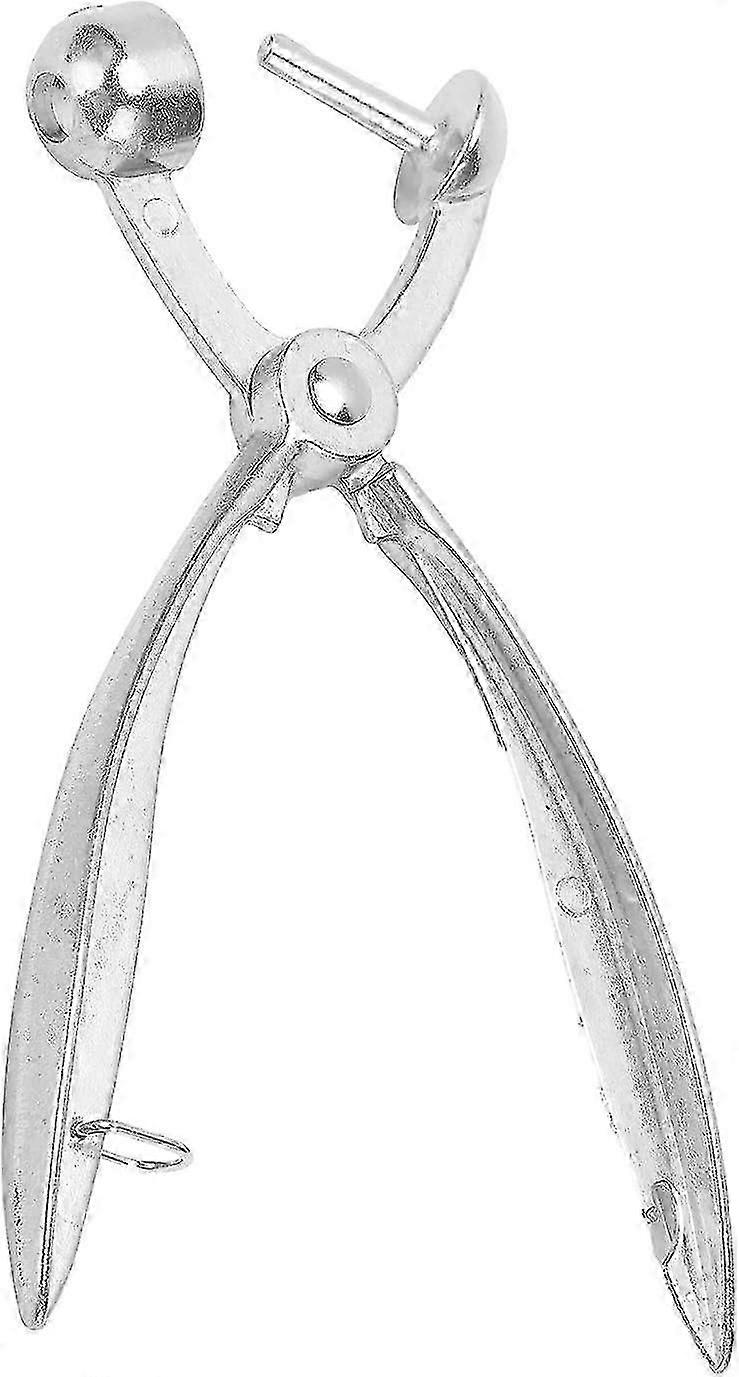 Cherry Pitter Cherry Aluminum Alloy Olive Seed Extractor