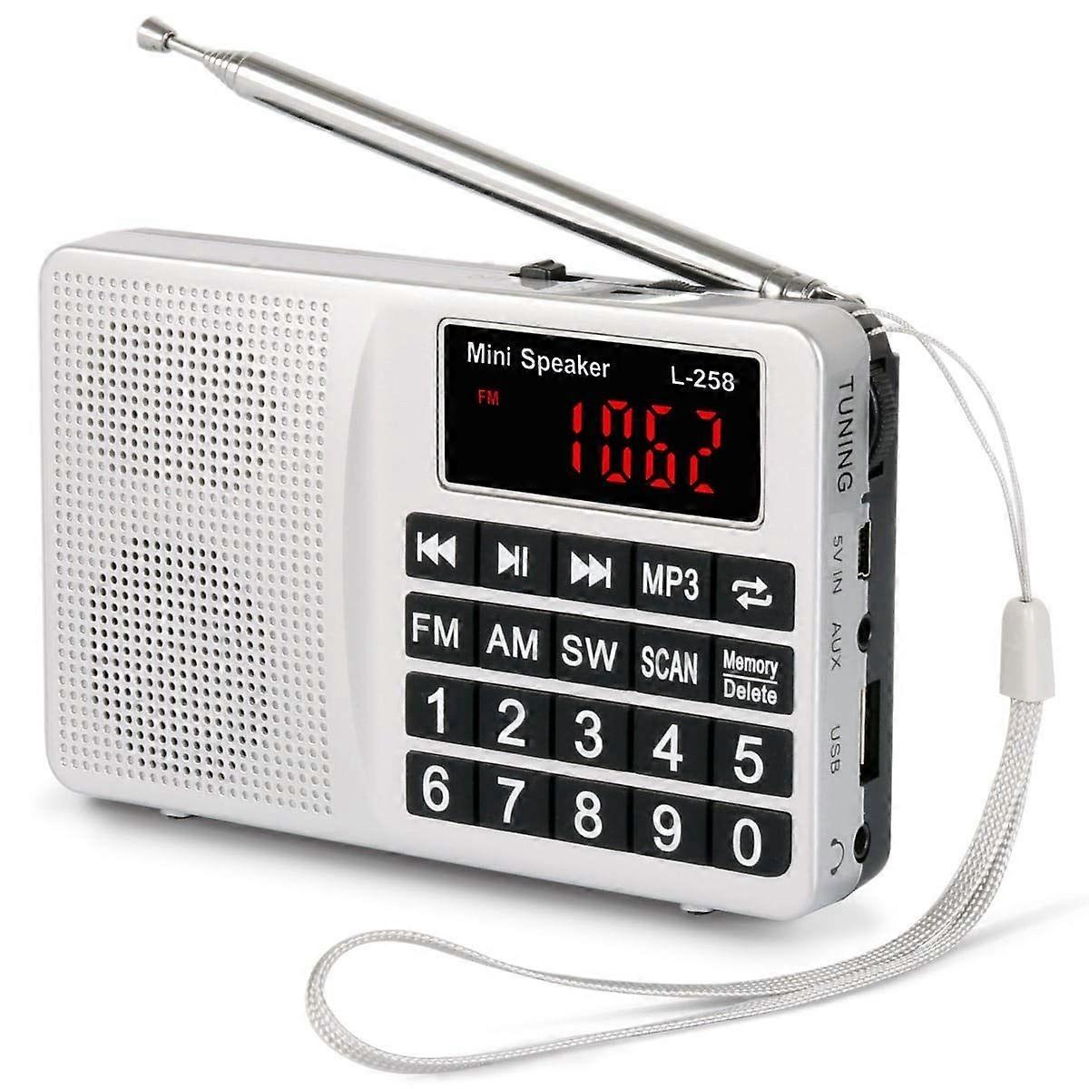 Small Radio Portable and Mains, AM(MW)/SW/FM Radio Rechargeable with Bass Speaker, Large Button and Display. Stores Stations Automatically(NO Manual M