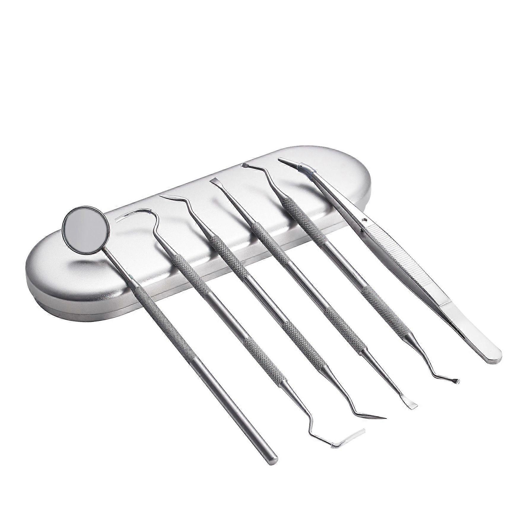 Stainless Steel 8Piece Dentist Tool Set