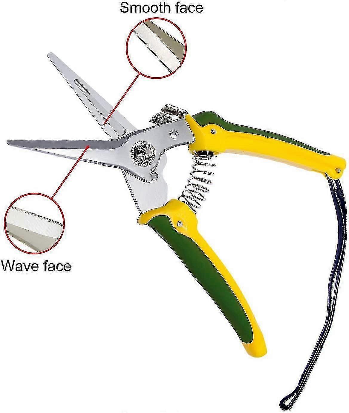 Carbon Steel Foot Shears For Goat Hooves, Sheep, 8'' Long