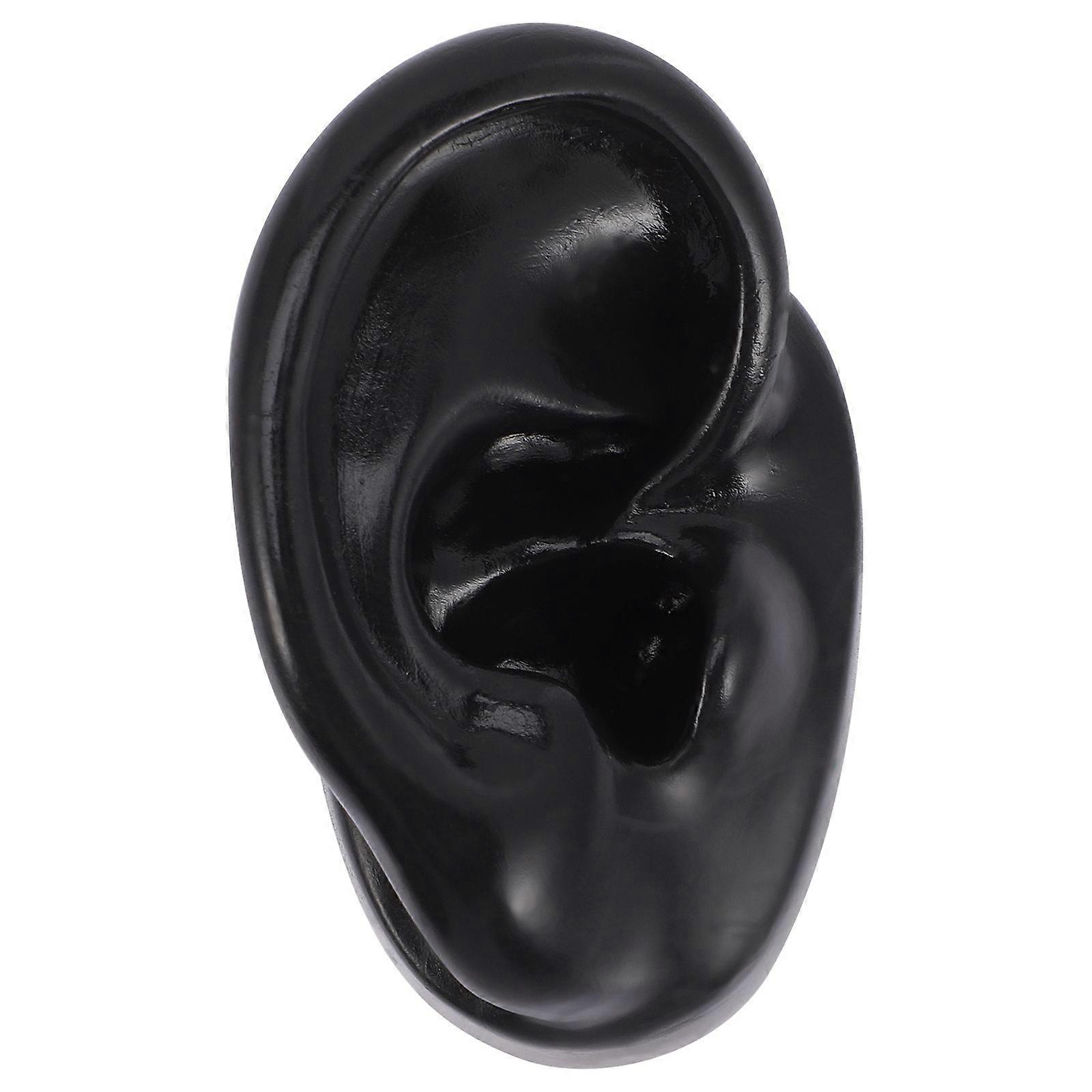 Ear Model Silicone Human Ear Model for Piercing Practice Jewelry Display
