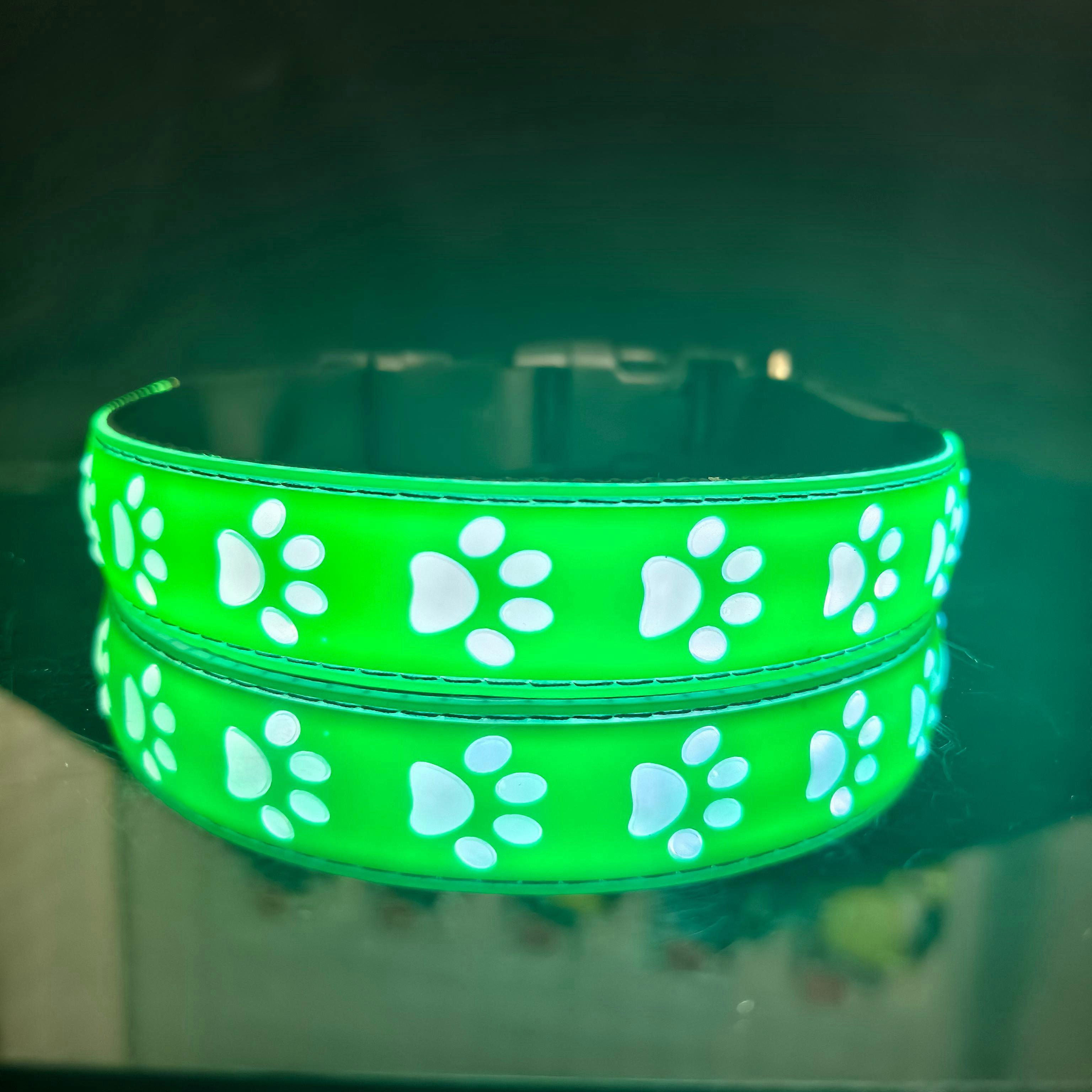 CC SIMON-Light Up Dog Collar, USB C recharge ,Paw design , Soft Material, Multicolor