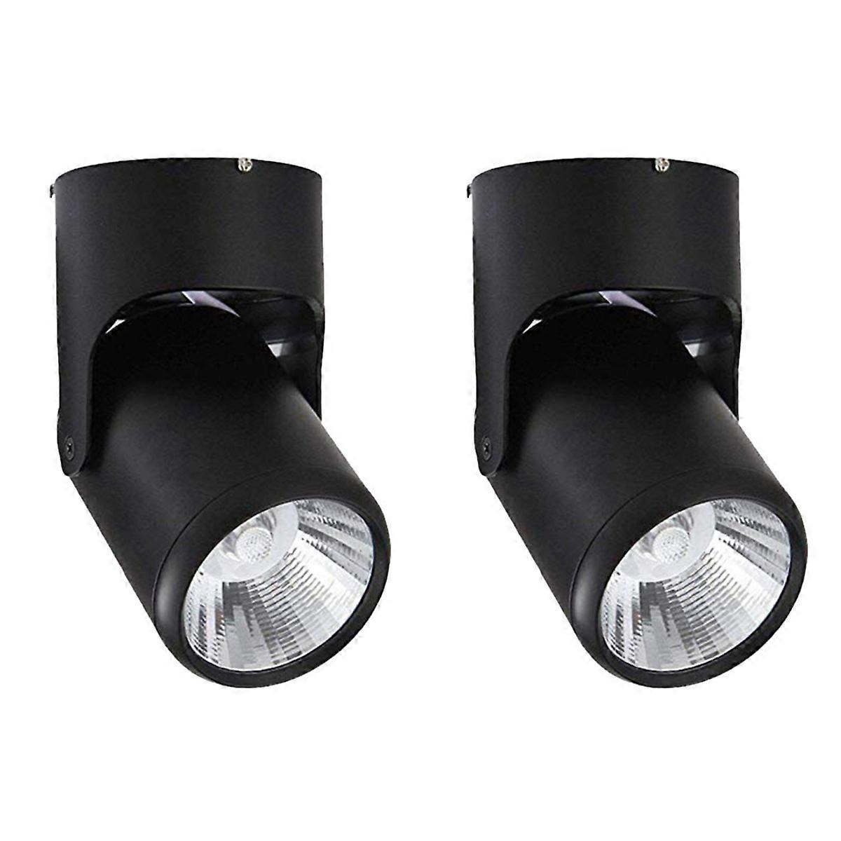 Set of 2 Spot Lights Spot Light Ceiling Downlight LED Spotlight Adjustable Ceiling Light