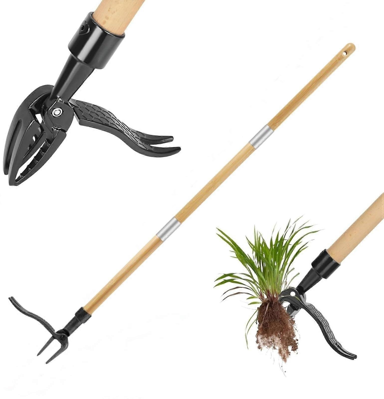 Stand Up Weed Puller with Ergonomic Beech Wood Long Handle, FourClaw Root Grip RustResistant Head