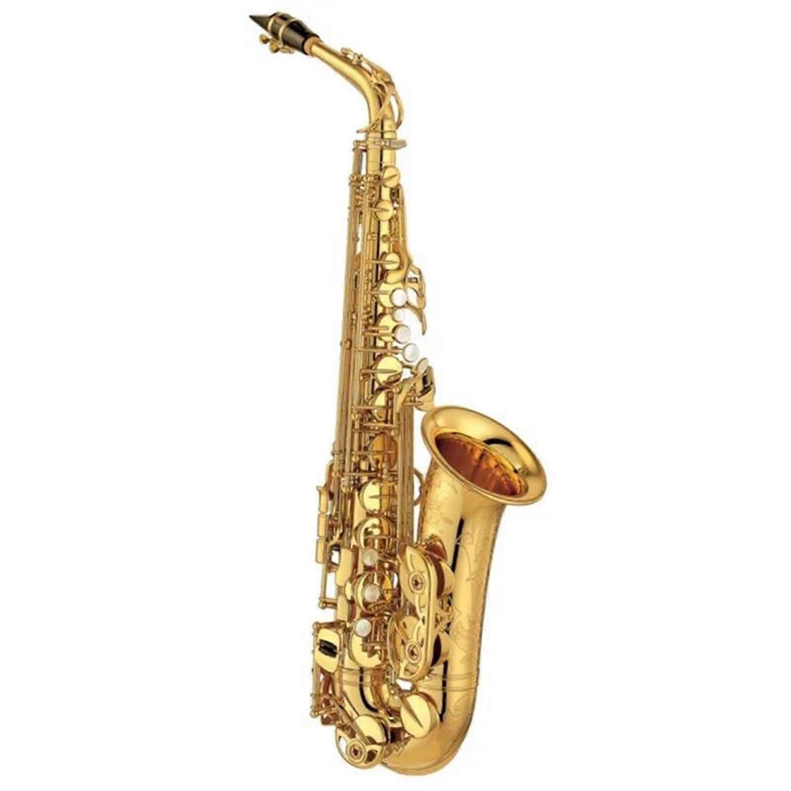Alto Saxophone for Beginners with Accessories, Professional E Flat Practice Set