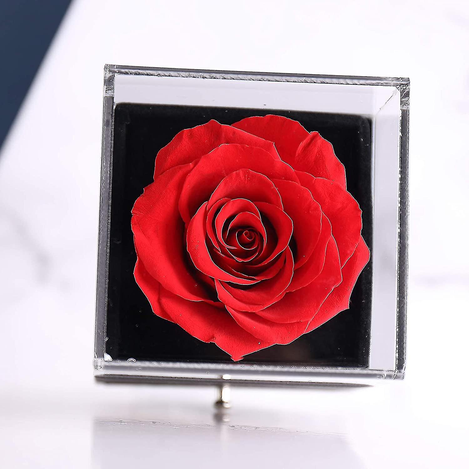 Gift In 100 Languages, Eternal Rose Gift