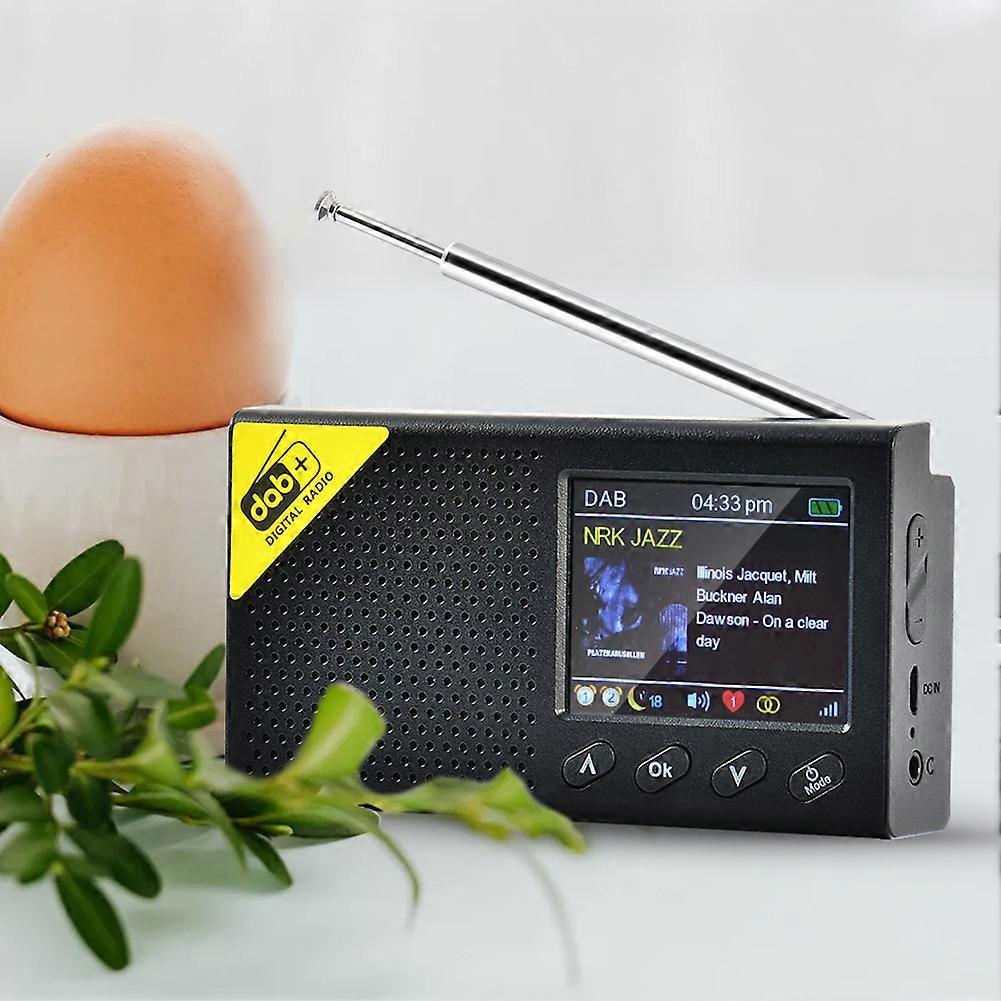Portable Digital Radio Bluetooth-compatible 5.0 Portable for Home Office 2.4 inch LCD Display Stereo DAB FM Audio Player