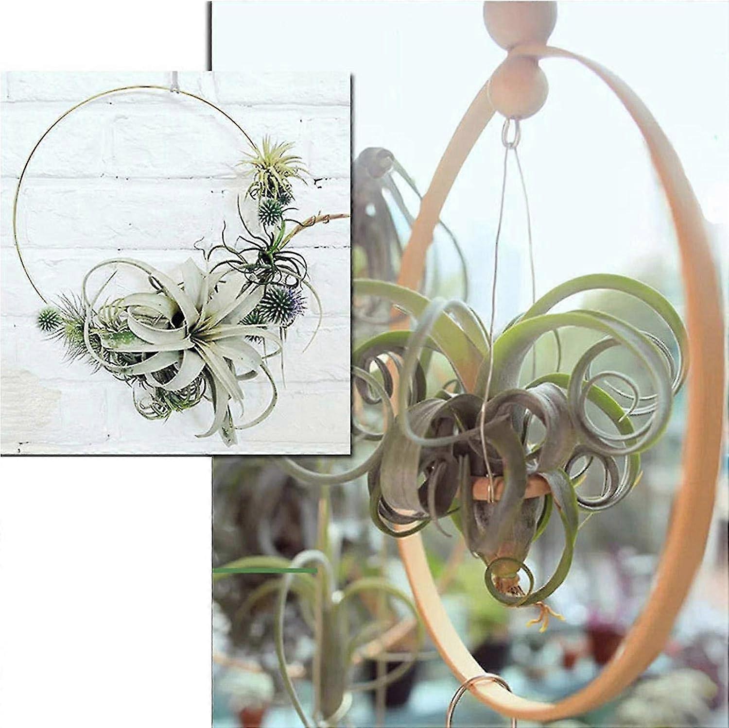 12 Cerceaux Bambou 10-30cm - Pour Couronnes Fleurs Et Attrapes-rêves - DIY Déco - Naturel