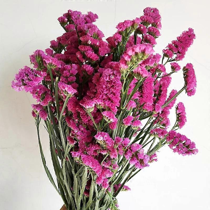 Dried Flowers Preserved Forget Me Not Flowers Bouquet 100% Natural Dried Lavender Bundle for ArrangementsWedding Table Decor