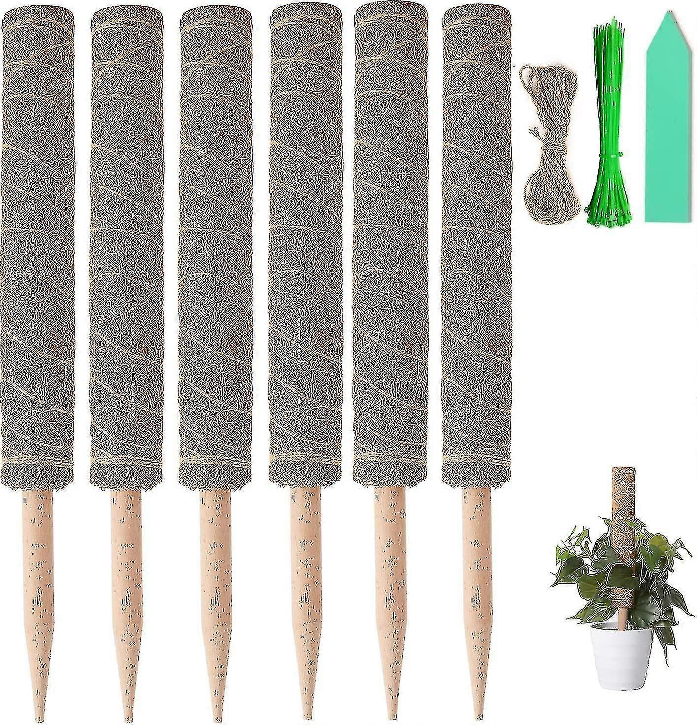 6 Stck 40 Cm Pflanzstab Kokos Moosstab,moosstange Pflanze Totemfr Kletterpflanzen Monstera Pothos Ranken Mit 100 Twist Ties,1m Langem Bindeband 10 Pla