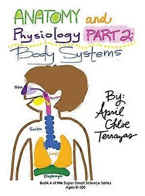 Anatomy  Physiology Part 2 Body Systems