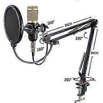 Ljud Mikrofon Gränssnitt Inspelning Extern Live Bm-800 Karaokemikrofon V8 Ljudkort Kondensor