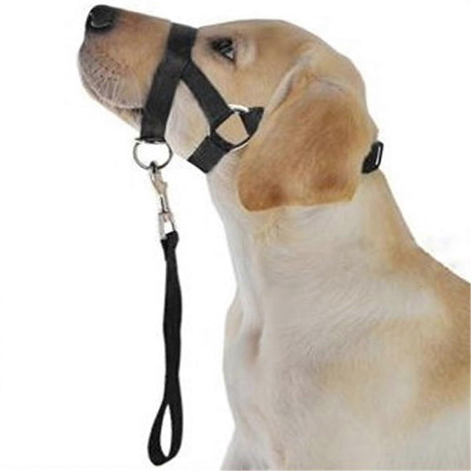 Dog Muzzle for Small, Medium, Large Dogs, Adjustable with Tow Rope, Prevents Biting, Barking, and Escaping (M)