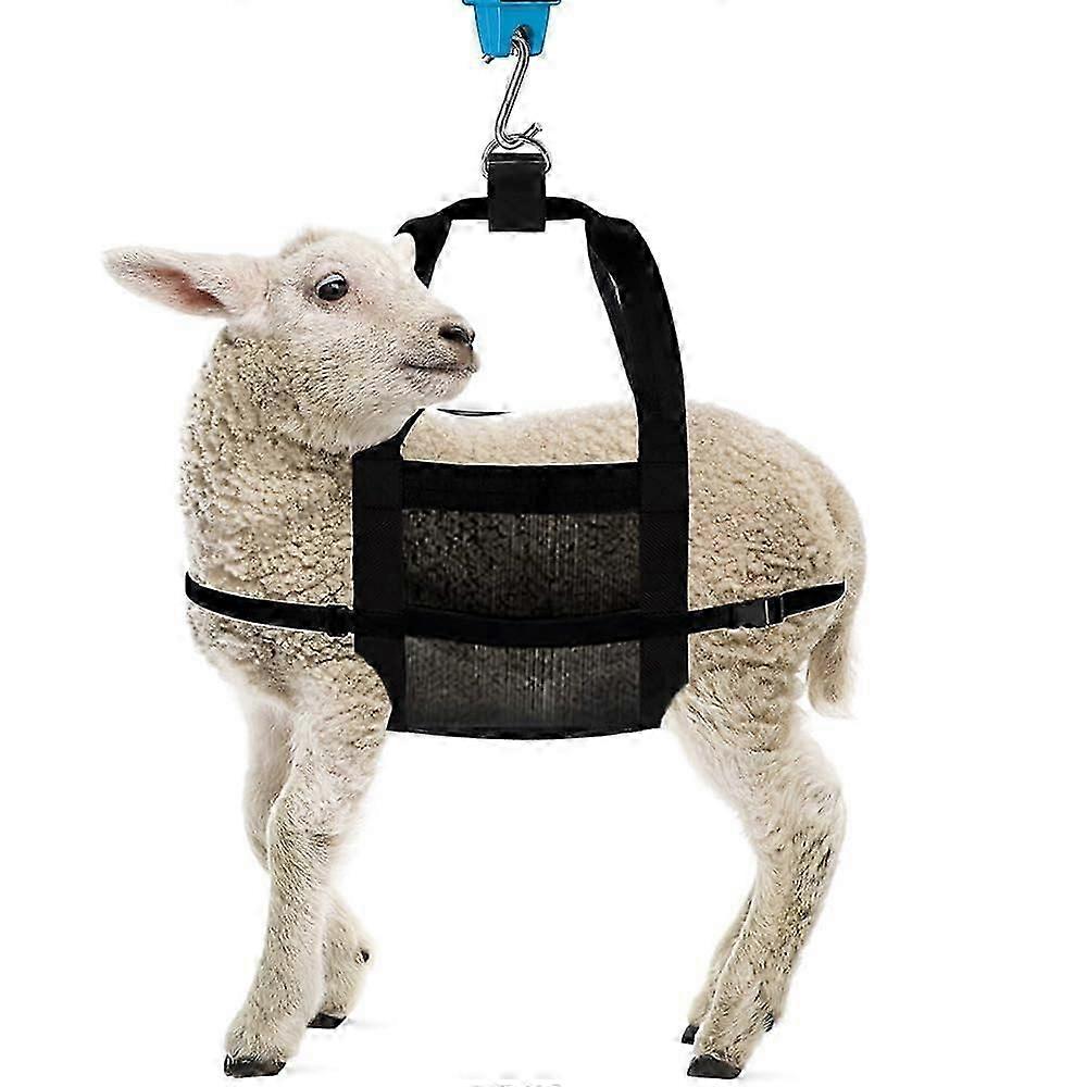 Adjustable Goat Sling with Hanging Weight Scale for Calf Hoof Trimming and Sling Scale