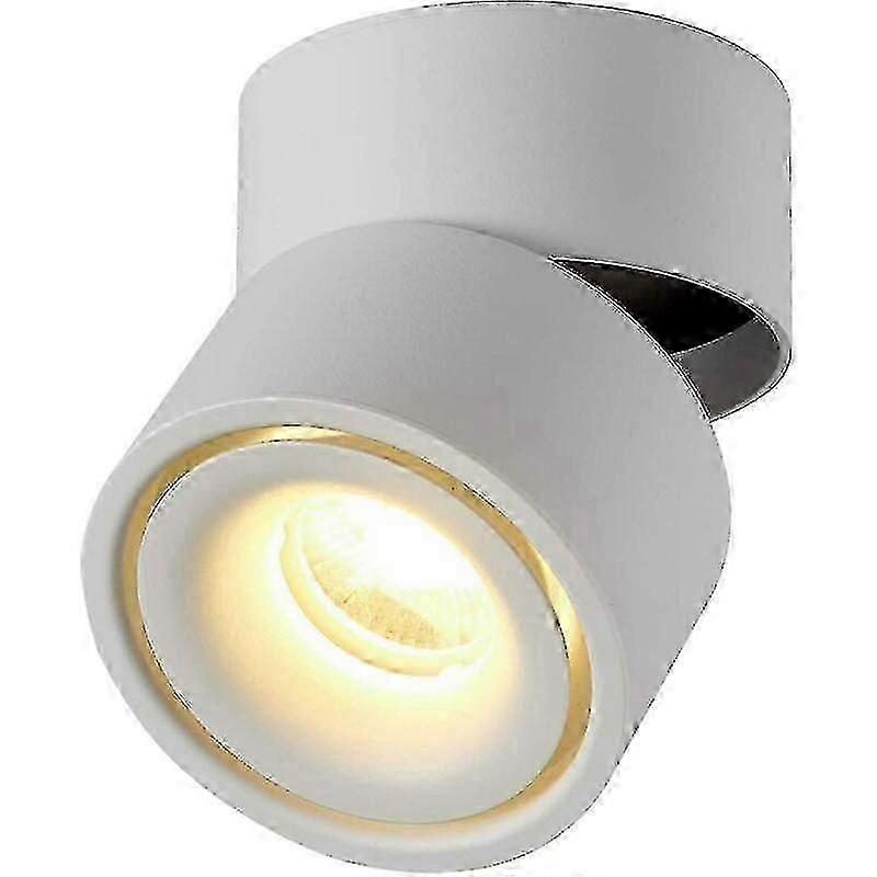 Indoor 12w Led Floodlight, 360 Adjustable Ceiling  Rotating And Surface