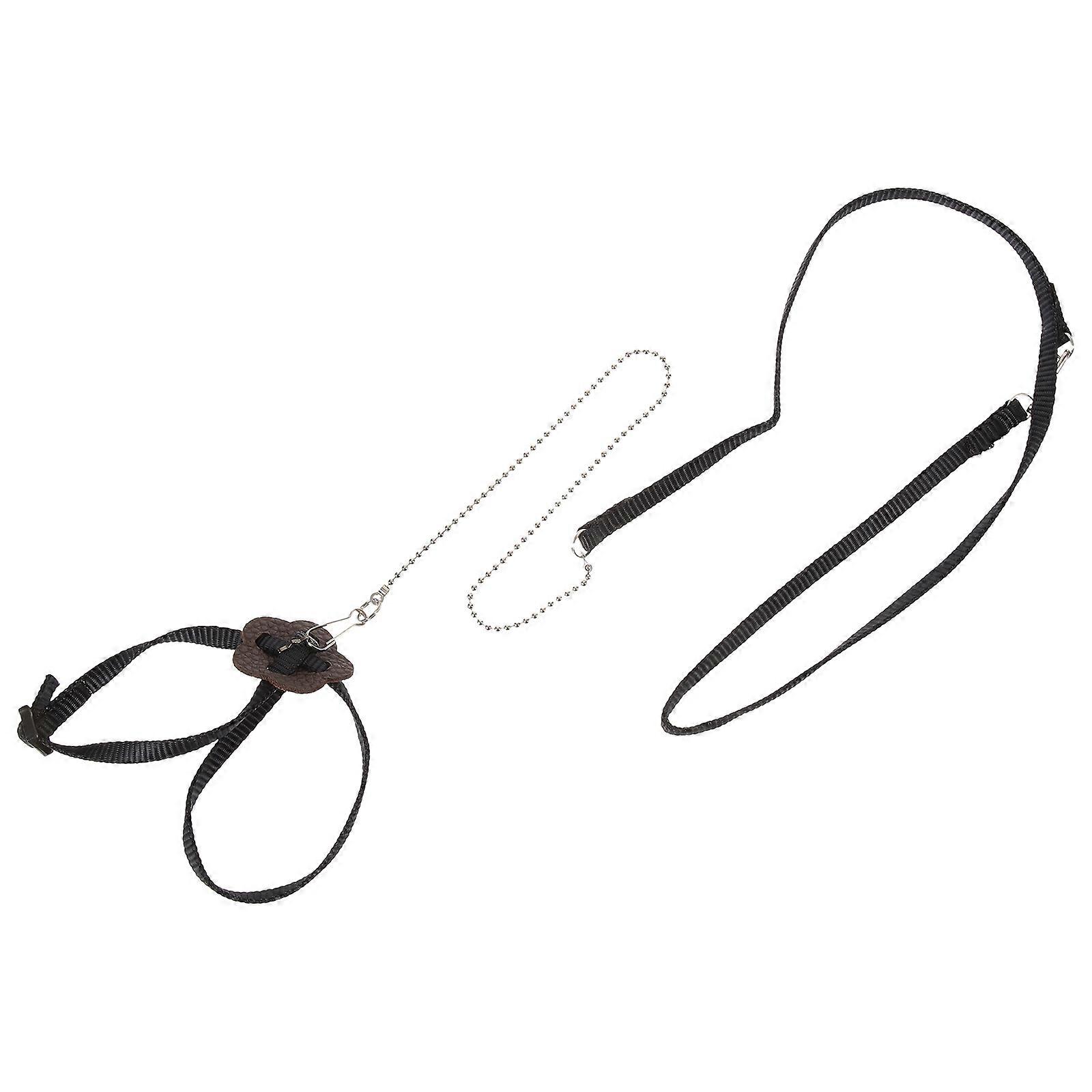 Turtle Training Leash Adjustable Hamster Traction Rope for Pets