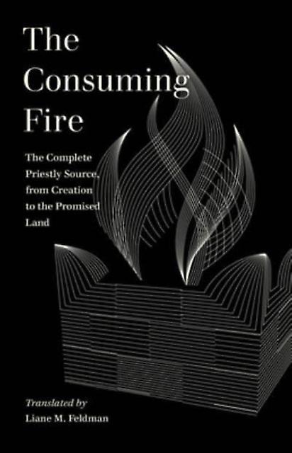 The Consuming Fire by Liane M. Feldman Paperback
