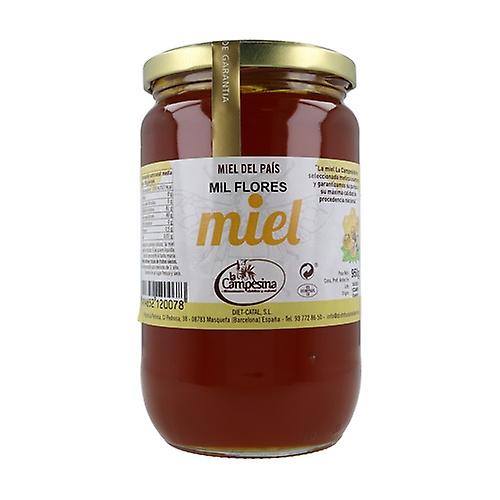 Honey Thousand Flowers 1 kg