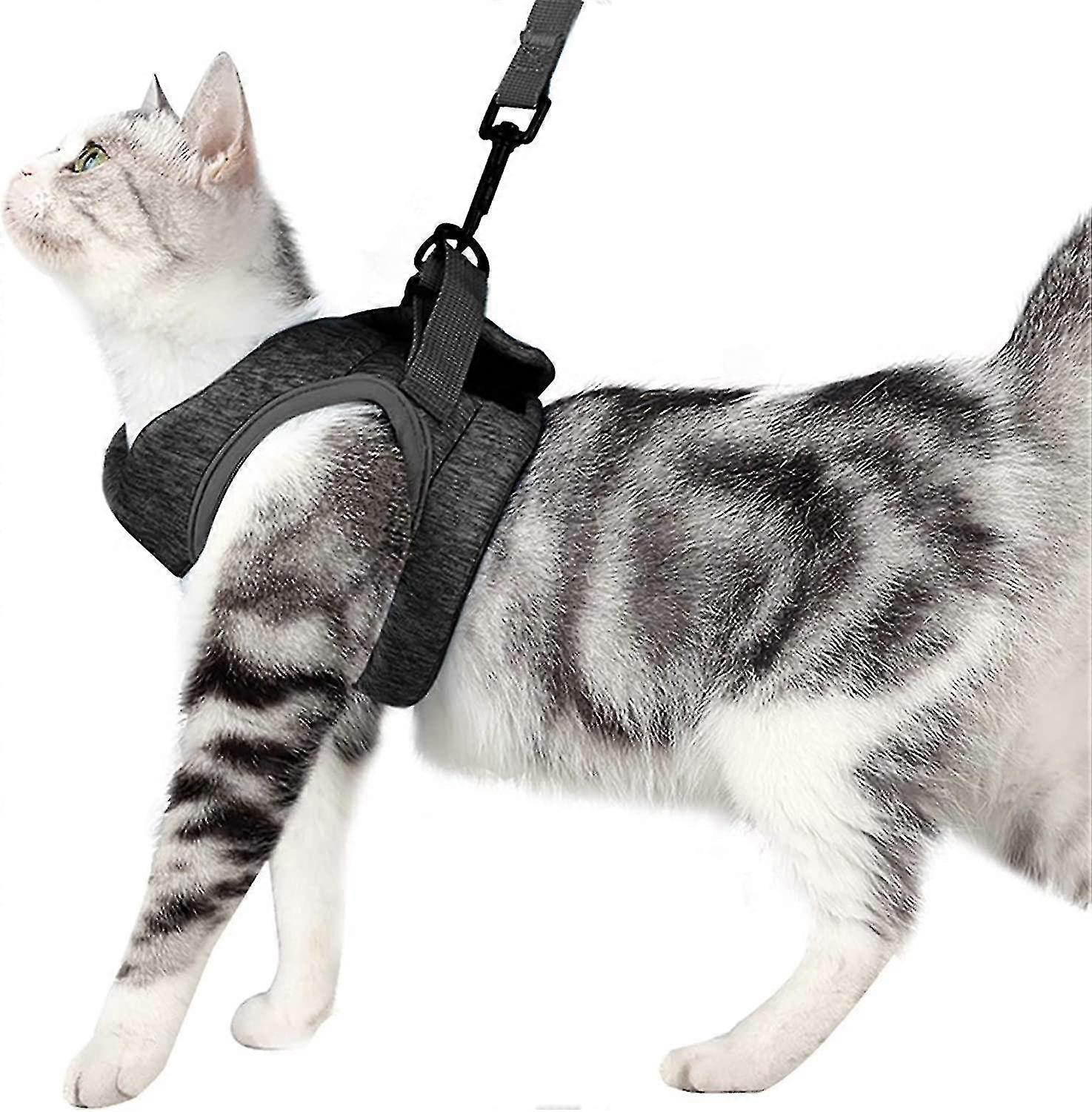 Cat Harness And Leash Set For Strolls 360 Wrap-around Small Cats And Dogs Harness Buffer Effect And Escape Resistance