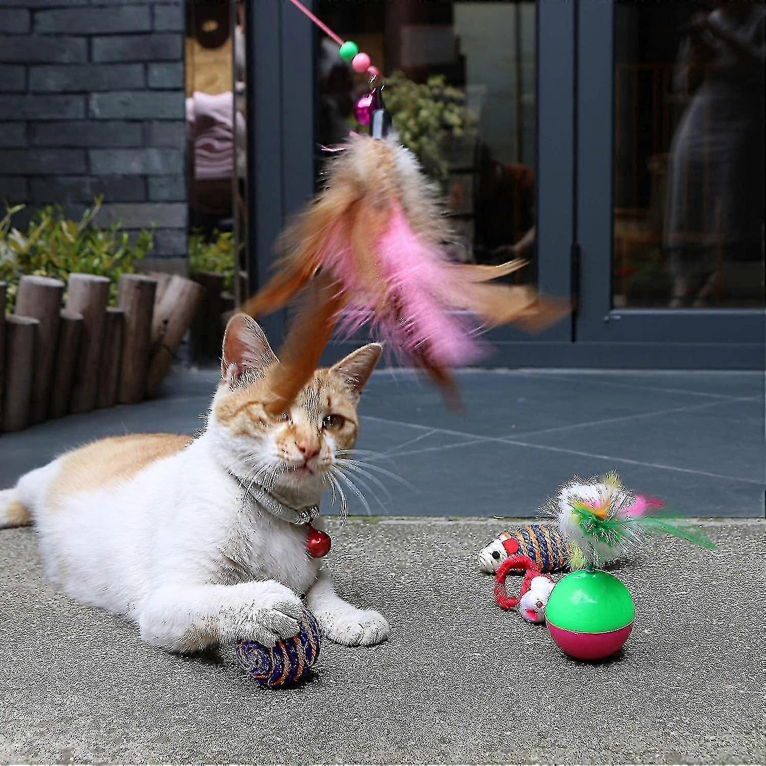 Cat Toys 21 Pcs Kitten Toys Assorted Cat Tunnel Catnip Fish Mouse Teaser Wand Variety Balls High Quality