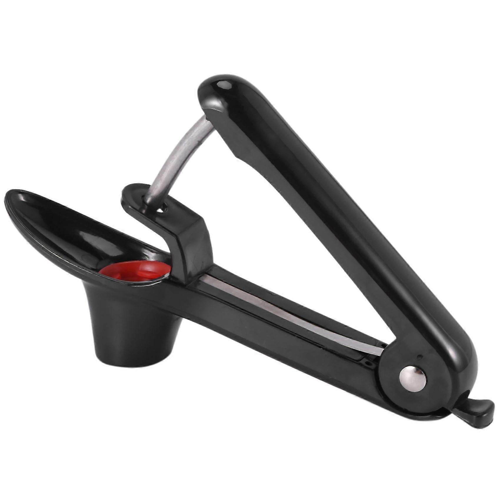 Cherry Pitter Tool,Fruit Pit Core Remover for Make Fresh Cherry