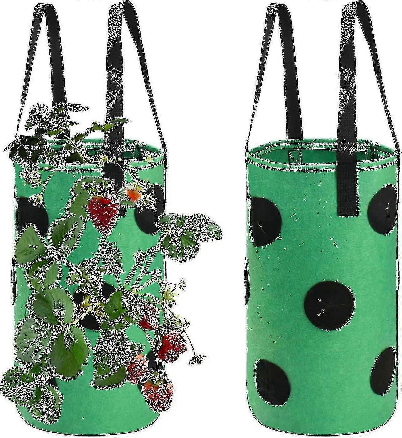 2pcs Strawberry Grow Bags 3 Gallon, Grow Pouches Plant Growing Hanger Bag