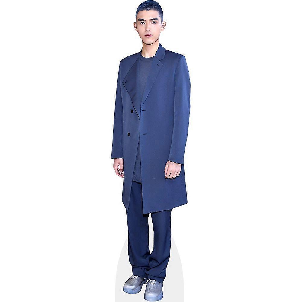 Chen Feiyu (Blue) Cardboard Cutout (lifesize OR mini size). Standee. Stand Up.