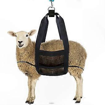 Sturdy Livestock Collar for Small Animals, Heavy-Duty Cattle Halter
