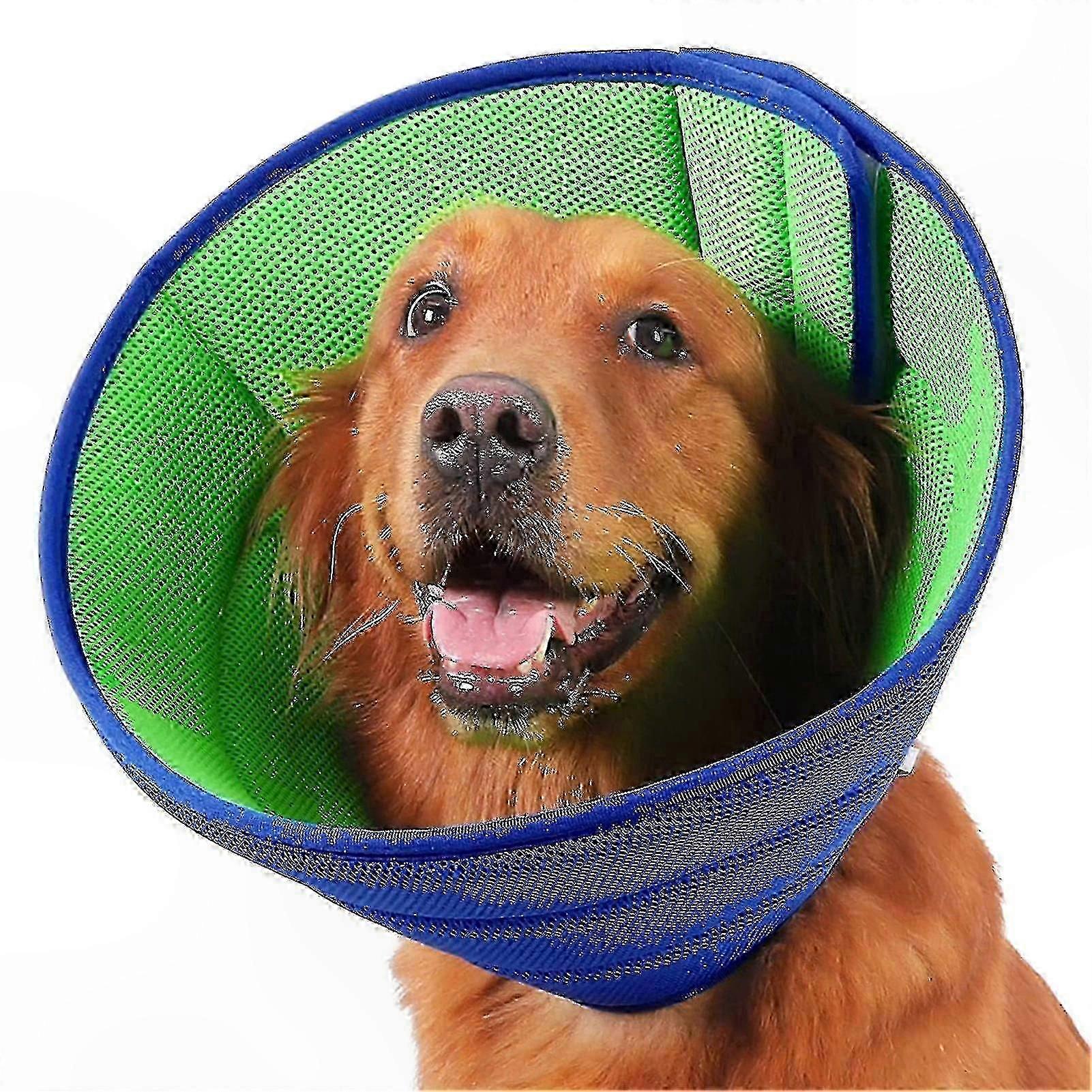 Post-Surgery Soft E-Collar for Dogs Prevents Biting and Protects Wounds Safely