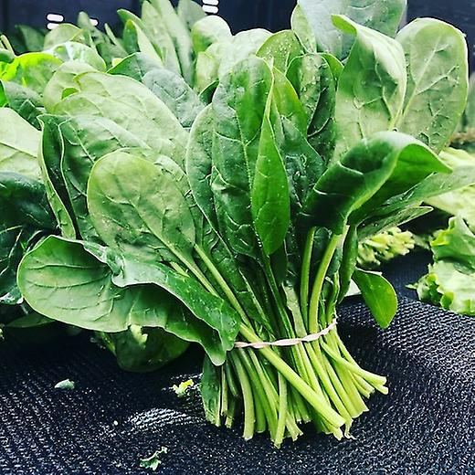 Spenót répa örökös.