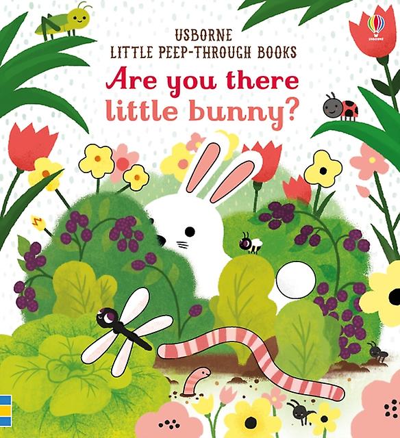 Are You There Little Bunny by Sam Taplin Board book Book