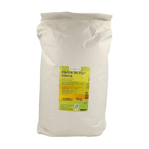 Organic White Wheat Flour 5 kg