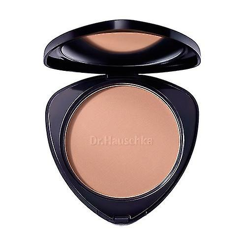 Bronze Powders 01 Bronze 10 g of powder