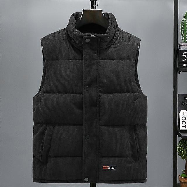 Chaleco de otoño-invierno para hombre, nueva moda 2023, cálido, de algodón, acolchado, sin mangas, informal, con cuello alto, color liso