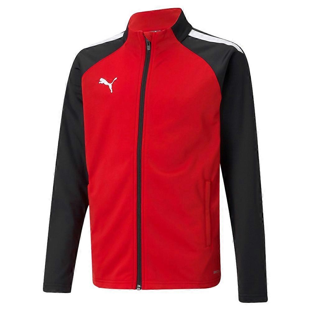 Sweatshirts Puma Teamliga Poly 65723501
