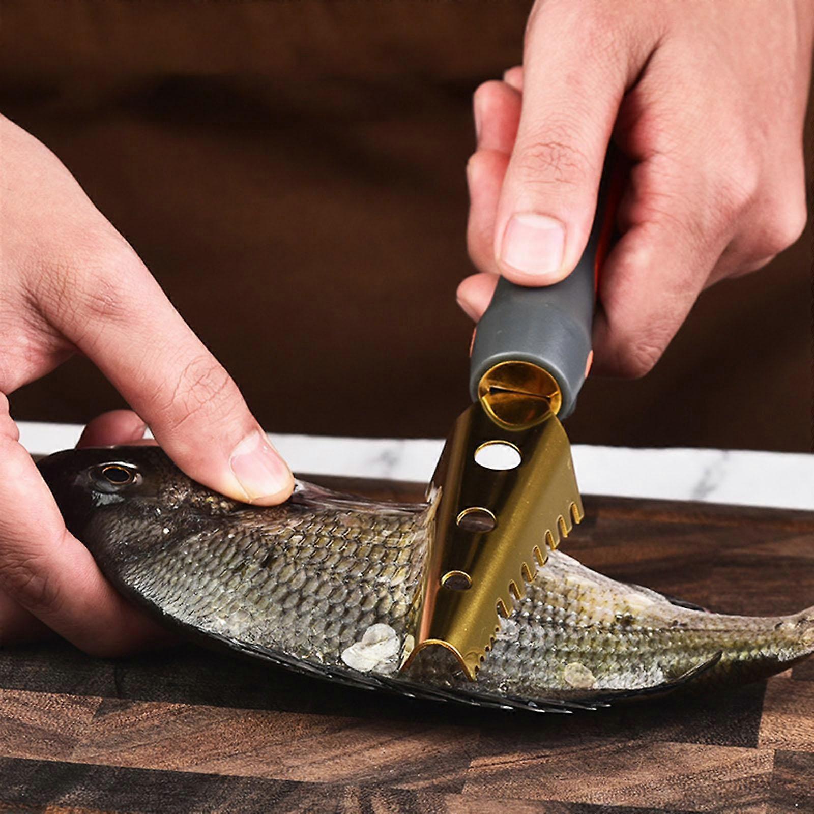Fish Scale Remover Cleaner Descaler Tool Fast Easy Scrapers Scaler for