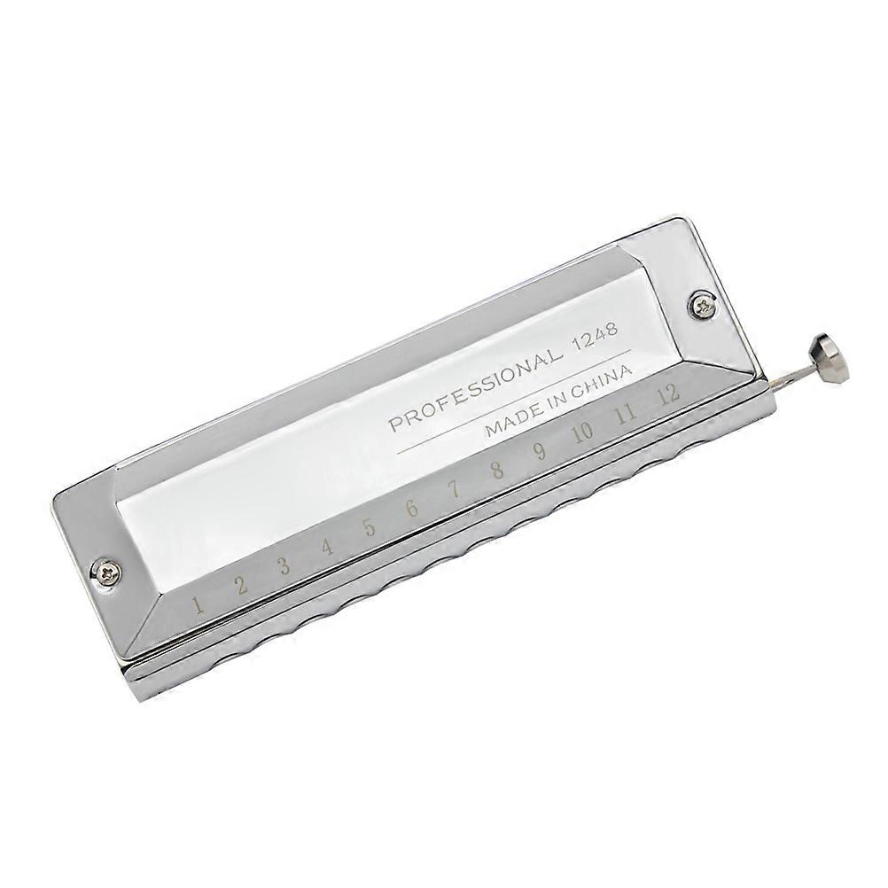 Harmonicas Portable Musical Instrument for Music Lovers Silver Rectangular Playing Complex Music 1Pack