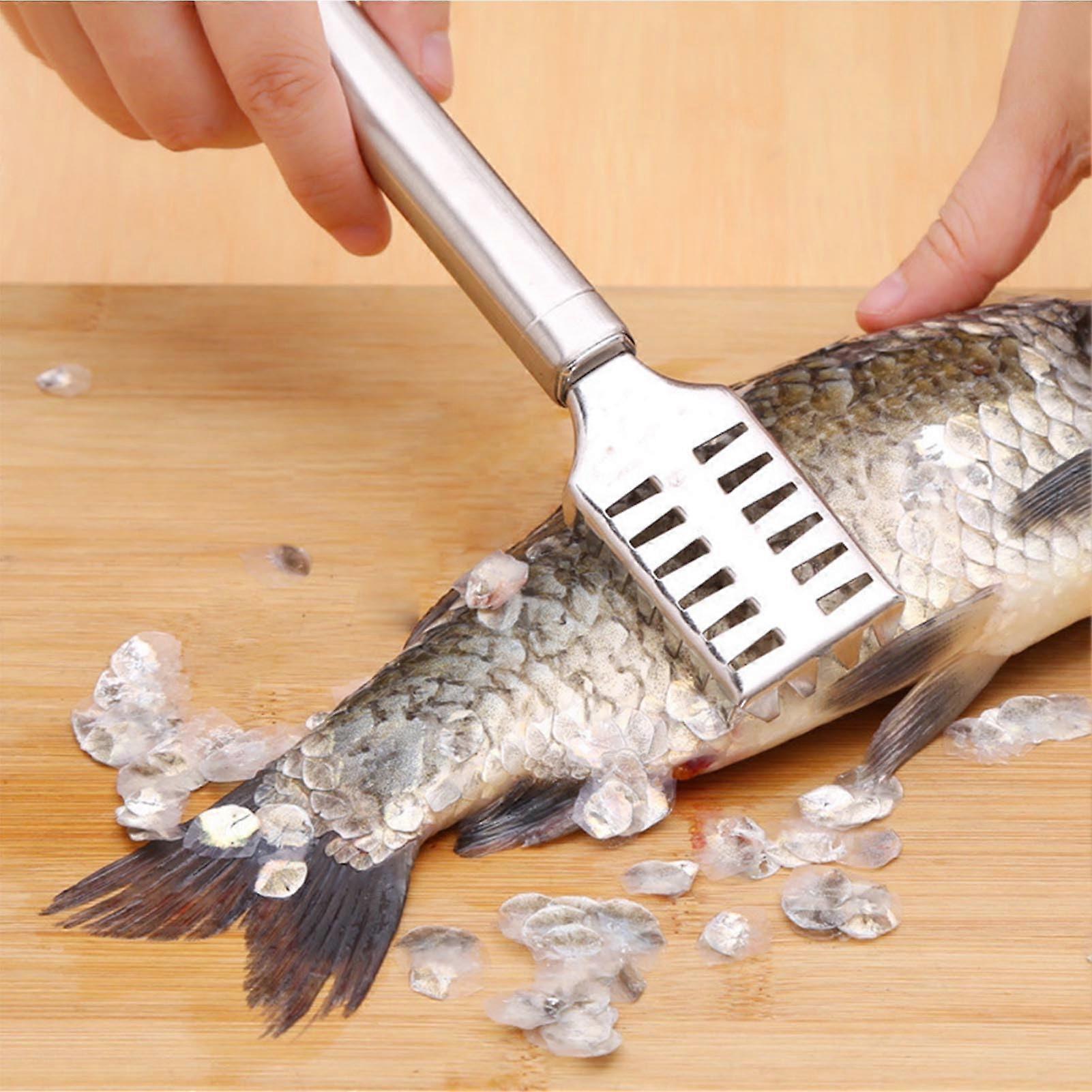 Premium Stainless Steel Fish Scaler, Erosion Resistant Descaler with High Sharpness