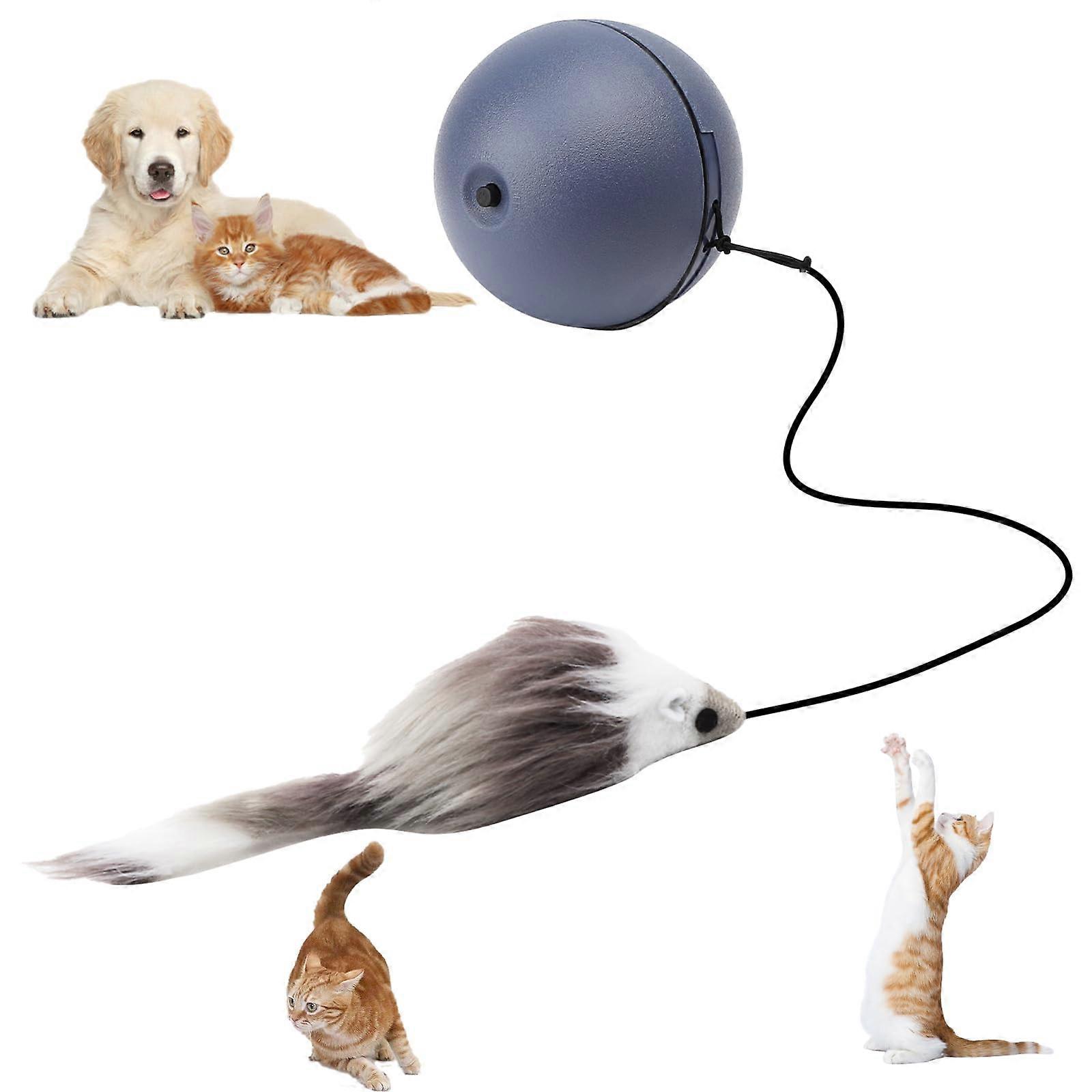 Interactive Cat Ball Toy - Electric Rolling Ball for Cats and Dogs, Durable Chew Toy, Engaging Play for Indoor Pets