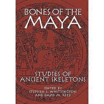 Bones of the Maya