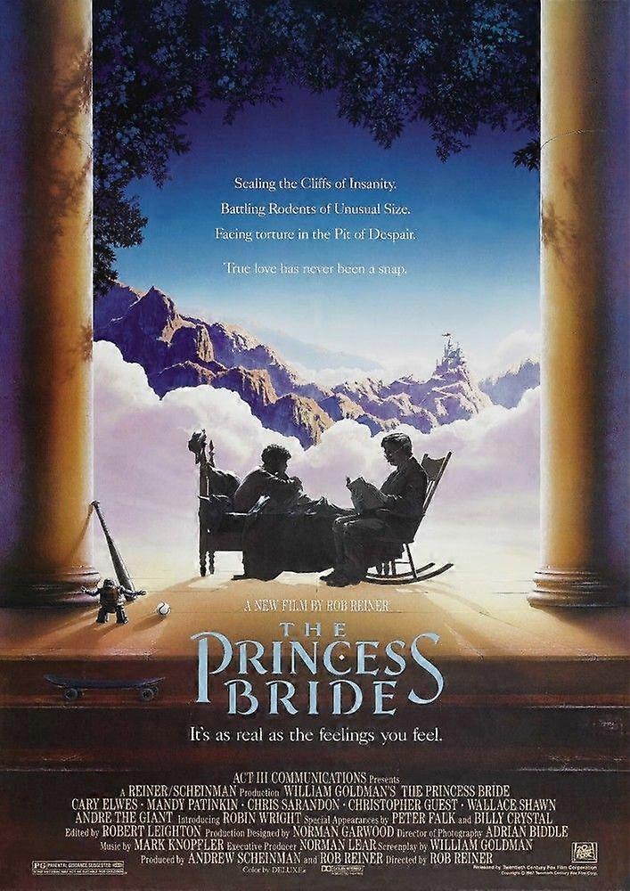 The Princess BrideJigsaw Puzzle Brain Teaser EB 1145