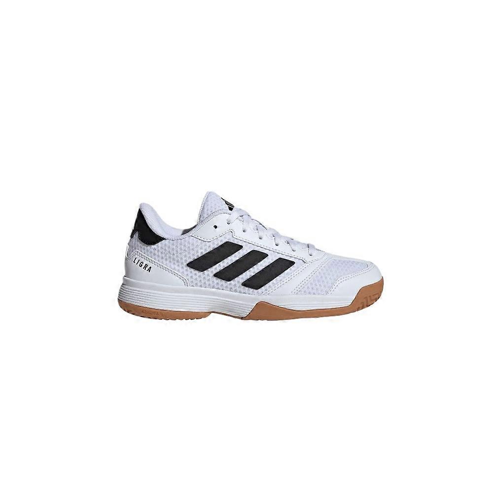 Sko Adidas Ligra 8 IH8244