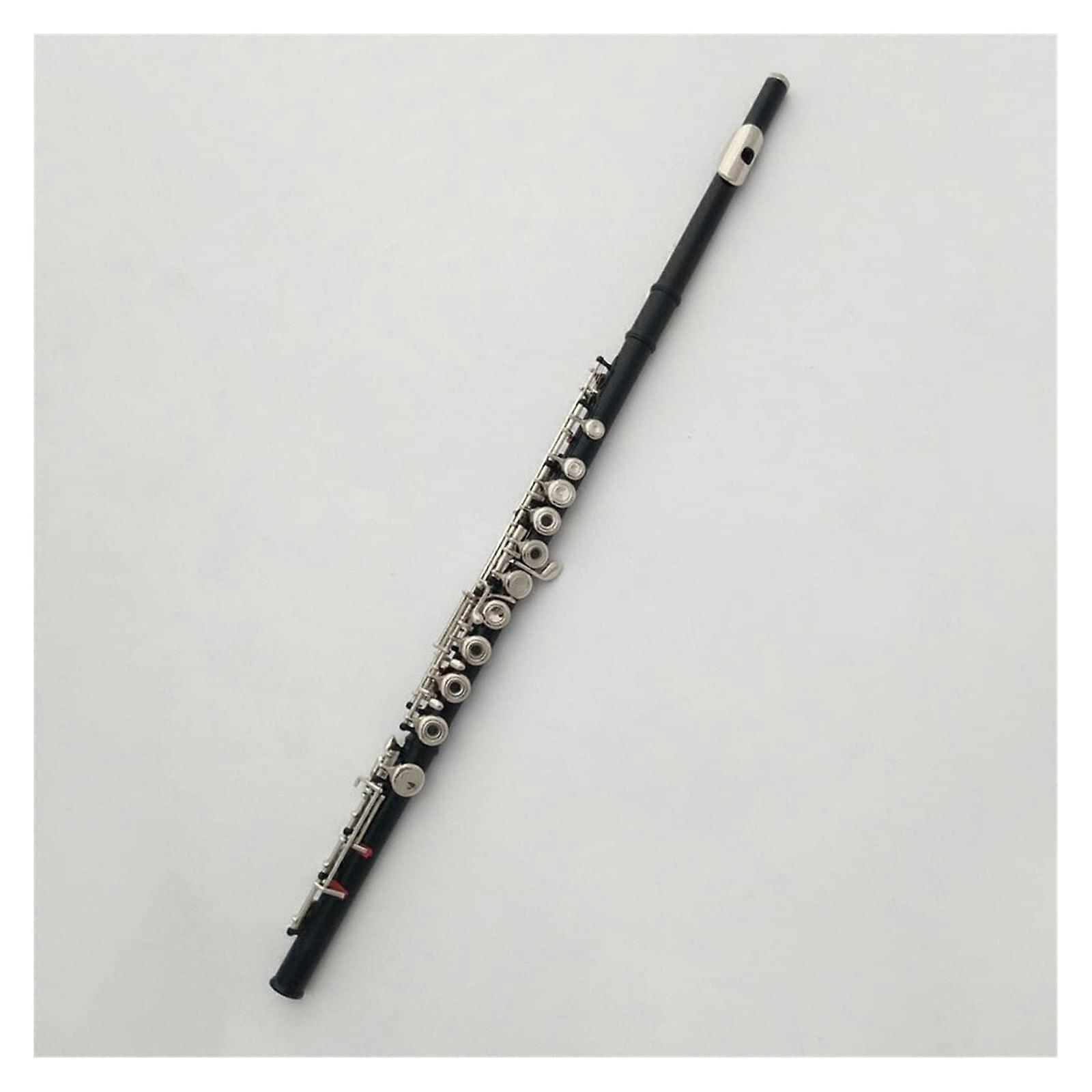 Beginner Open Hole Flute 17Key Durable Alloy Key Student Flute for Practice and Performance