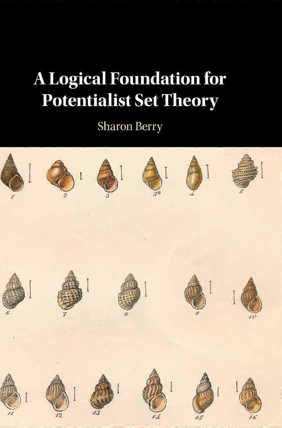 A logical foundation for potentialist set theory