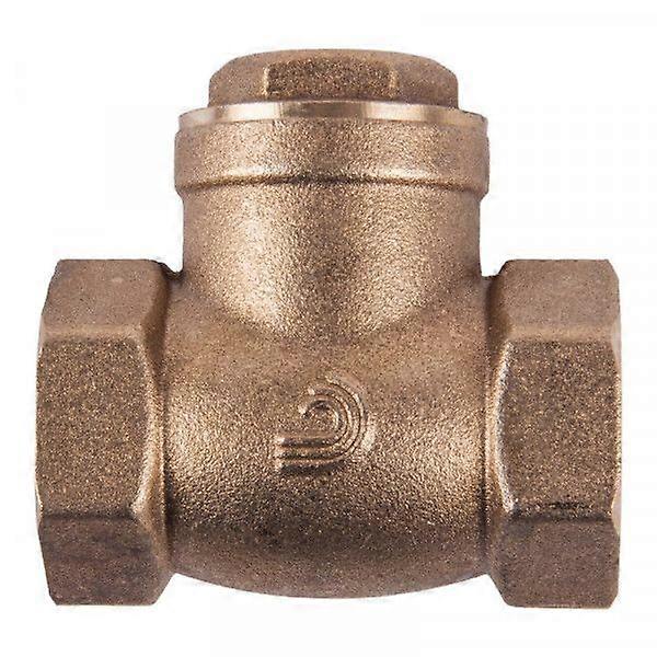 Valve Swing Check Brass 100mm